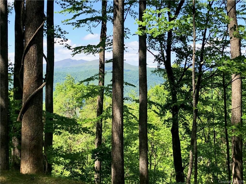 1319 Daydream Ridge Lot 53