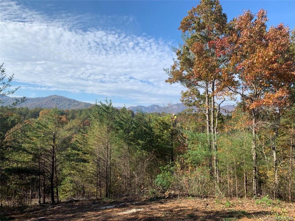 Lot 32 Peaks Drive