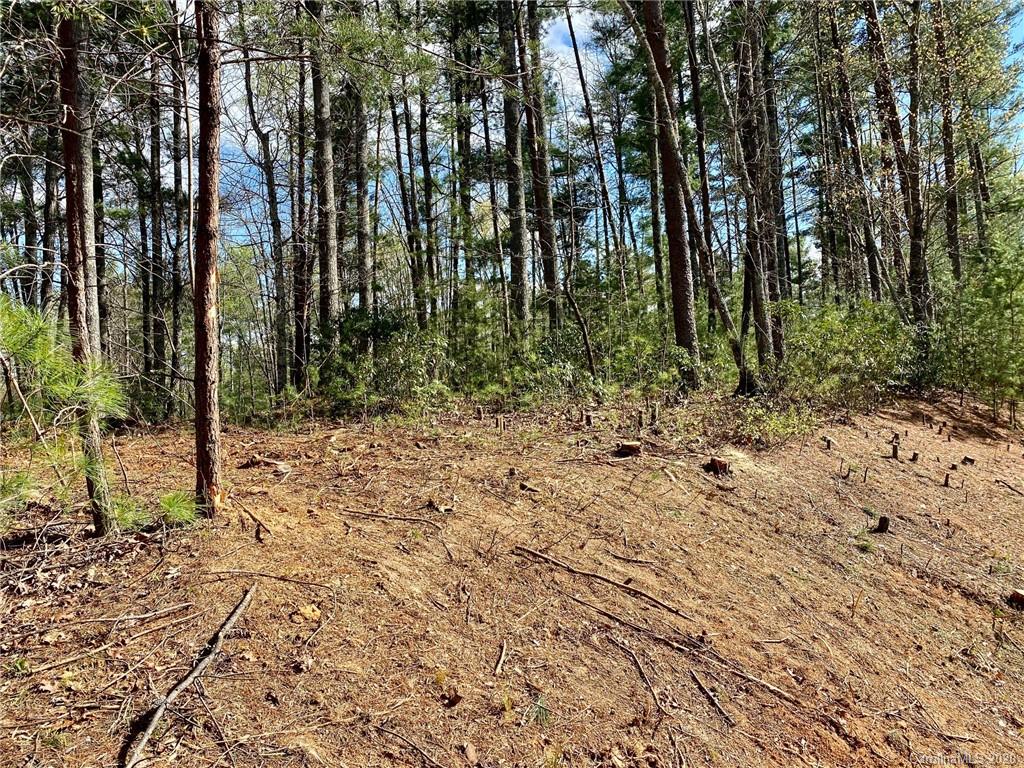 46 Osprey Roost Drive
