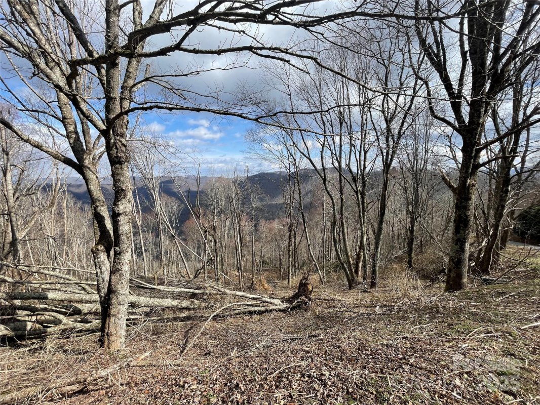 Lot 39 Ridge Top Circle
