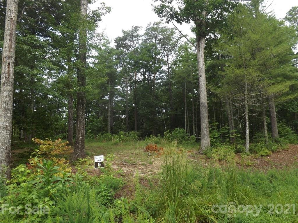 0 Fox Ridge Trail 6