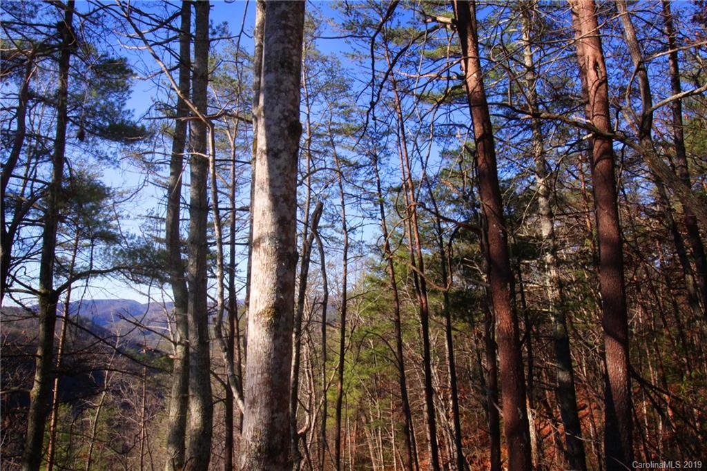 Lot 58 Turkey Spur Road