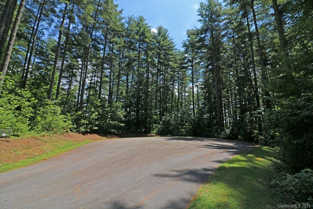 Lot 51 Mountain Brook Trail