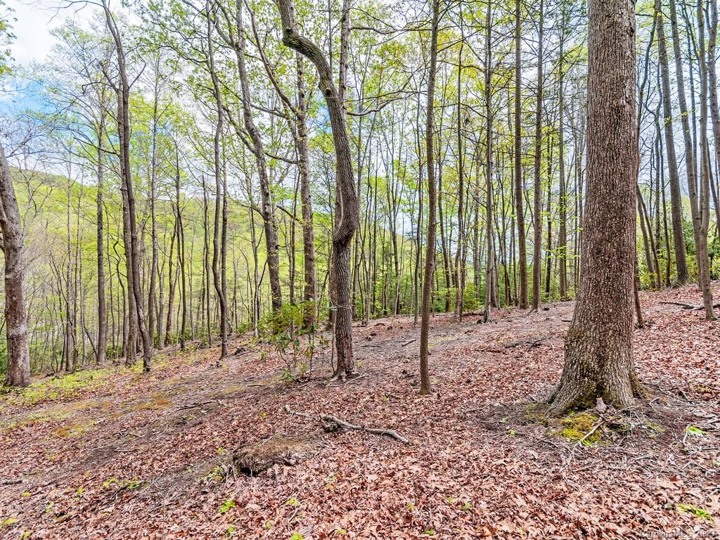 000 Laurel Creek Drive