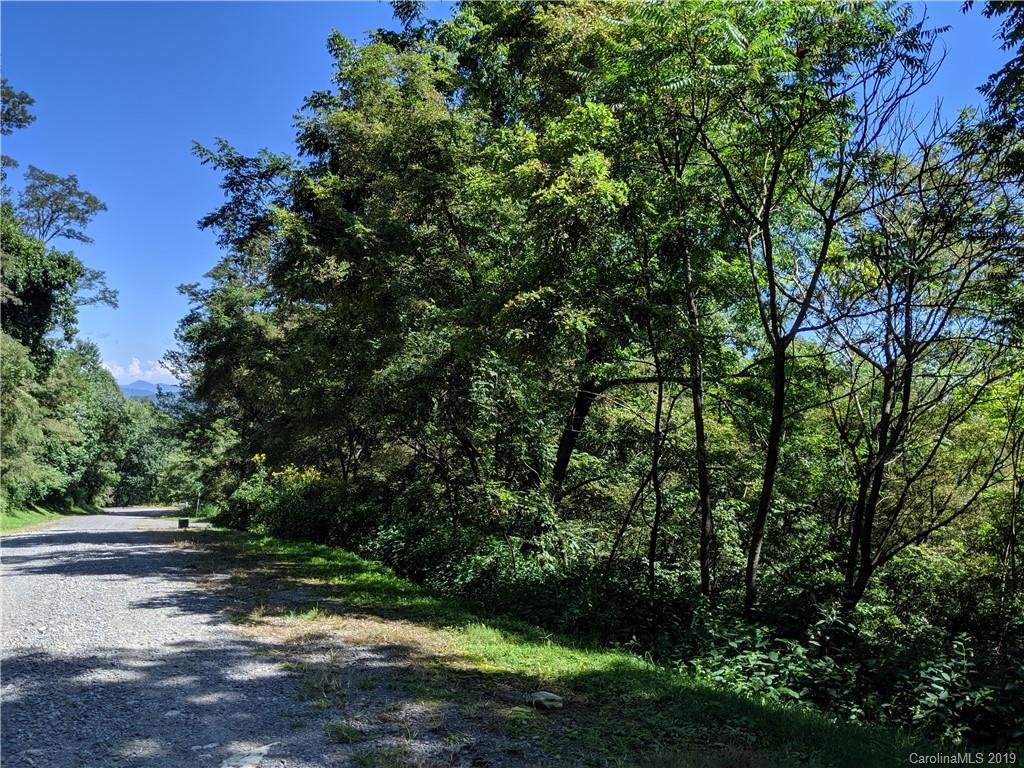 74 76 Live Oak Loop