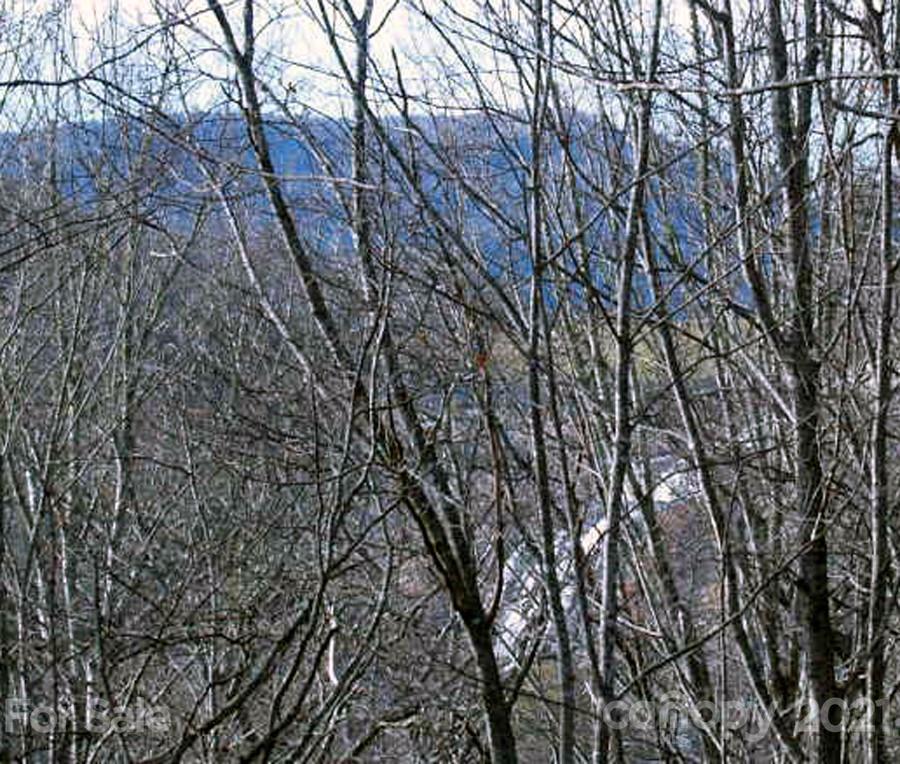 Tbd Falls View Drive