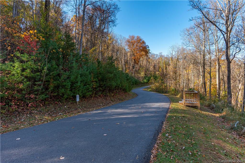 72 Woodland Aster Way 70