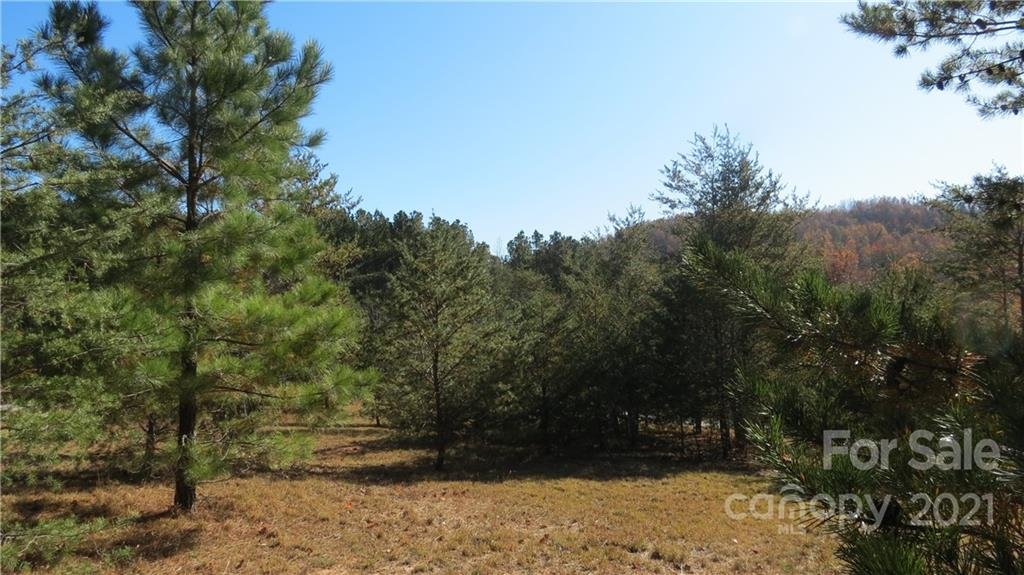 Lot 15 Iv Double Eagle Drive