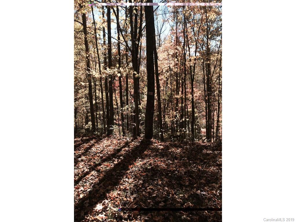 00 Fern Trail 50