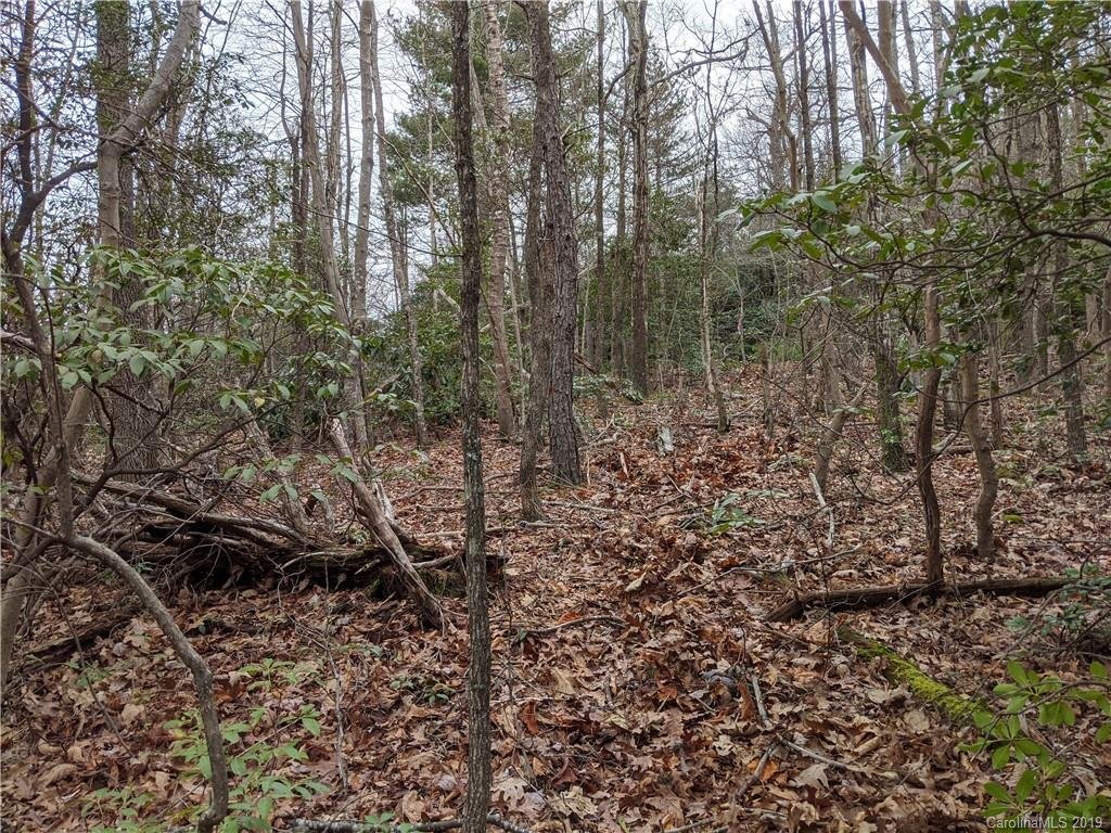 99999 Prospectors Trail
