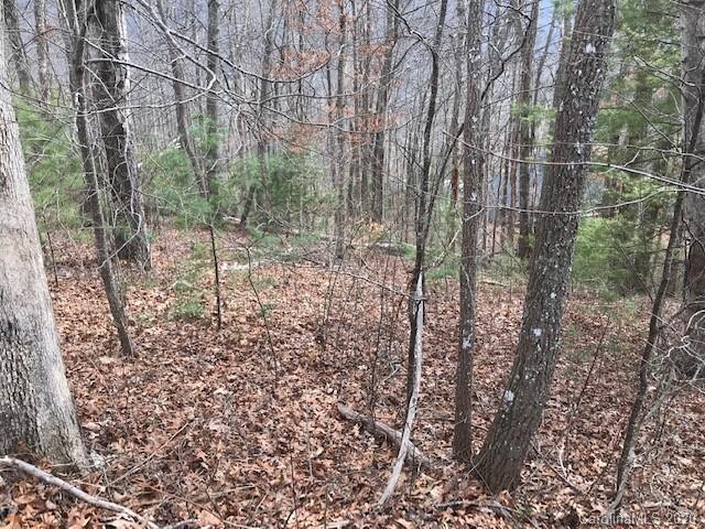 22 Silent Forest Drive