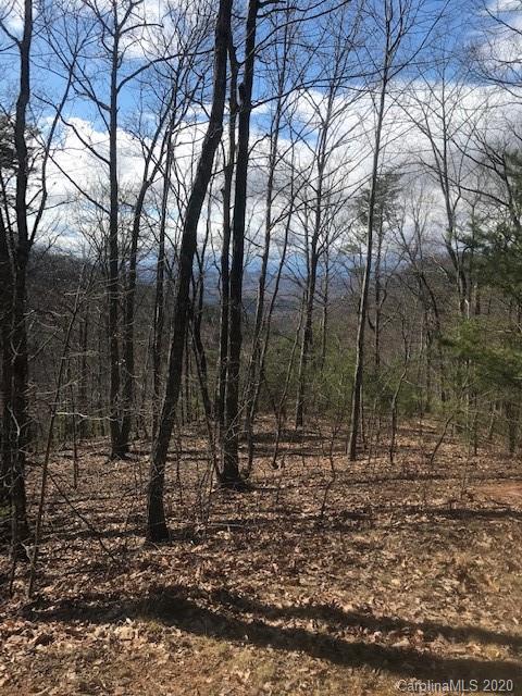 00 Mountain Lookout Drive