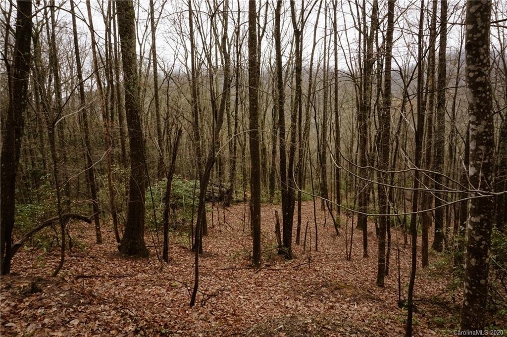 Lot 170 Poplar Drive