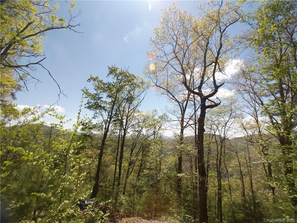 Lot 118 Bear River Lodge Trail