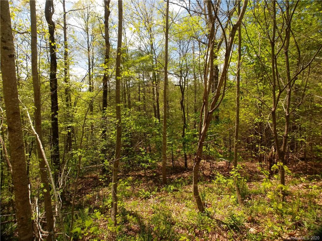 Lot 101 Bear River Lodge Trail