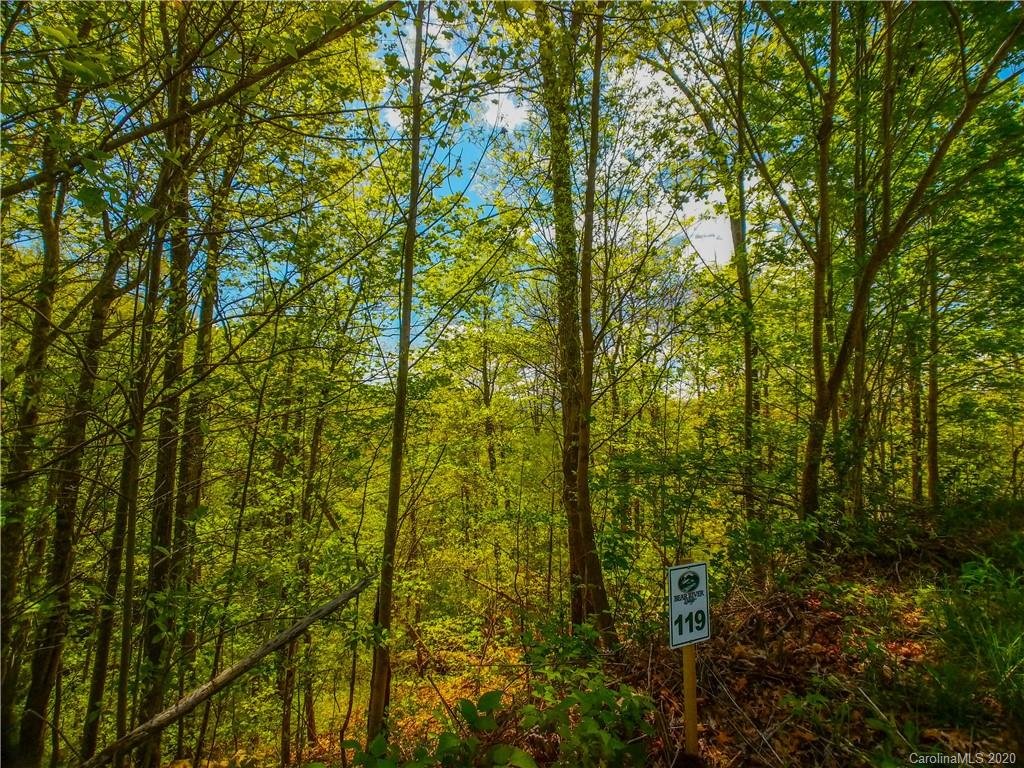 Lot 119 Bear River Lodge Trail