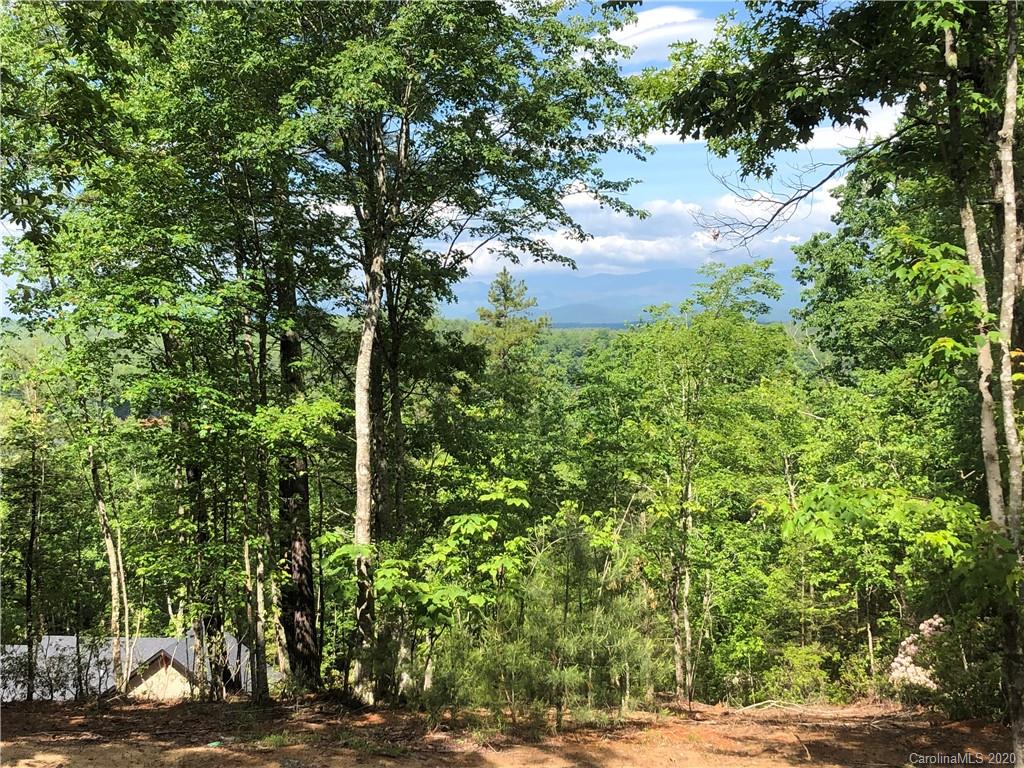 2127 Catawba Trail 167