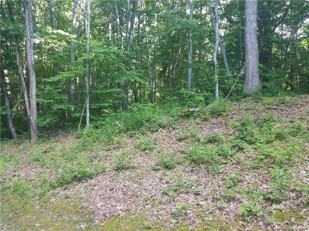 00 Brandywine Road 231