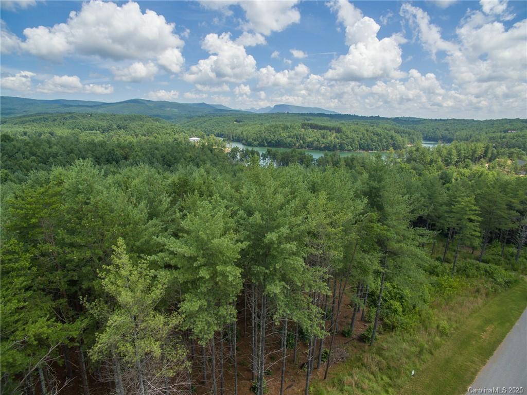 Tbd Crest View Drive 54
