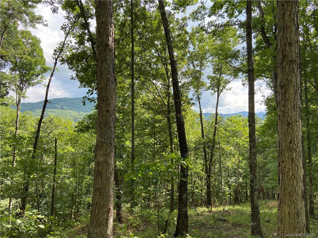 3670 French Broad Parkway 49