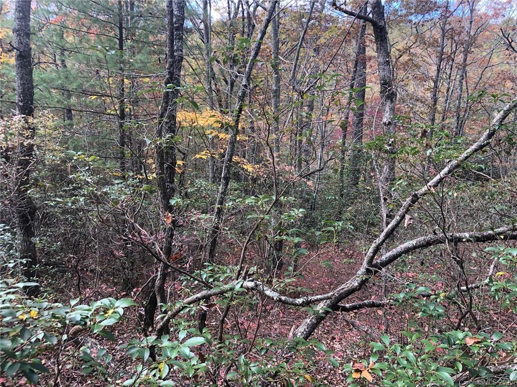 Lot 5 Oriole Road