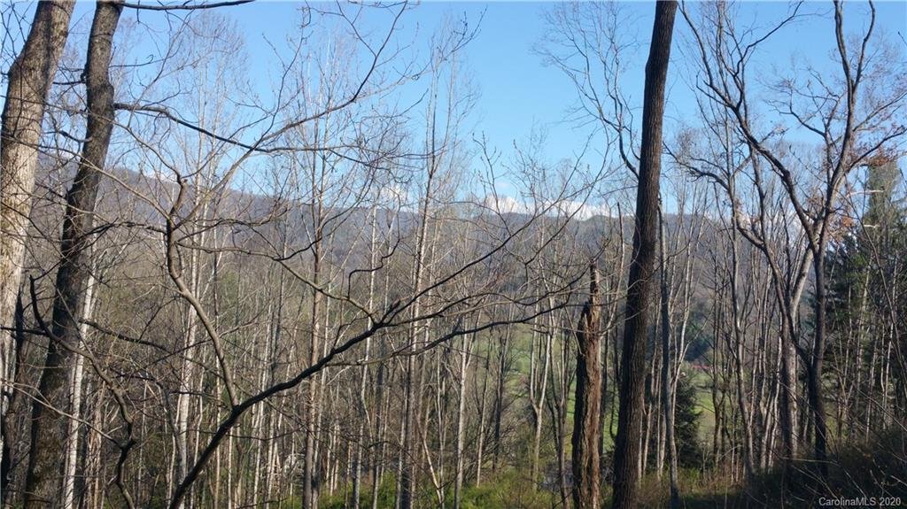 230 Shining Rock Path