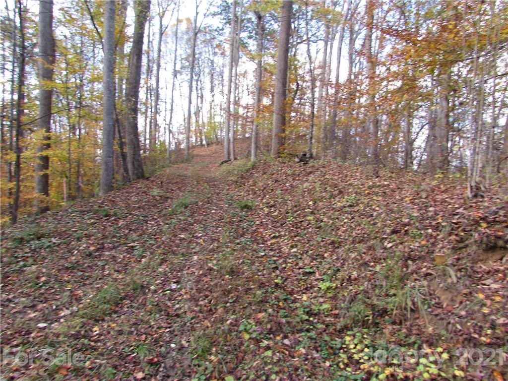 00 Red Wolf Run None