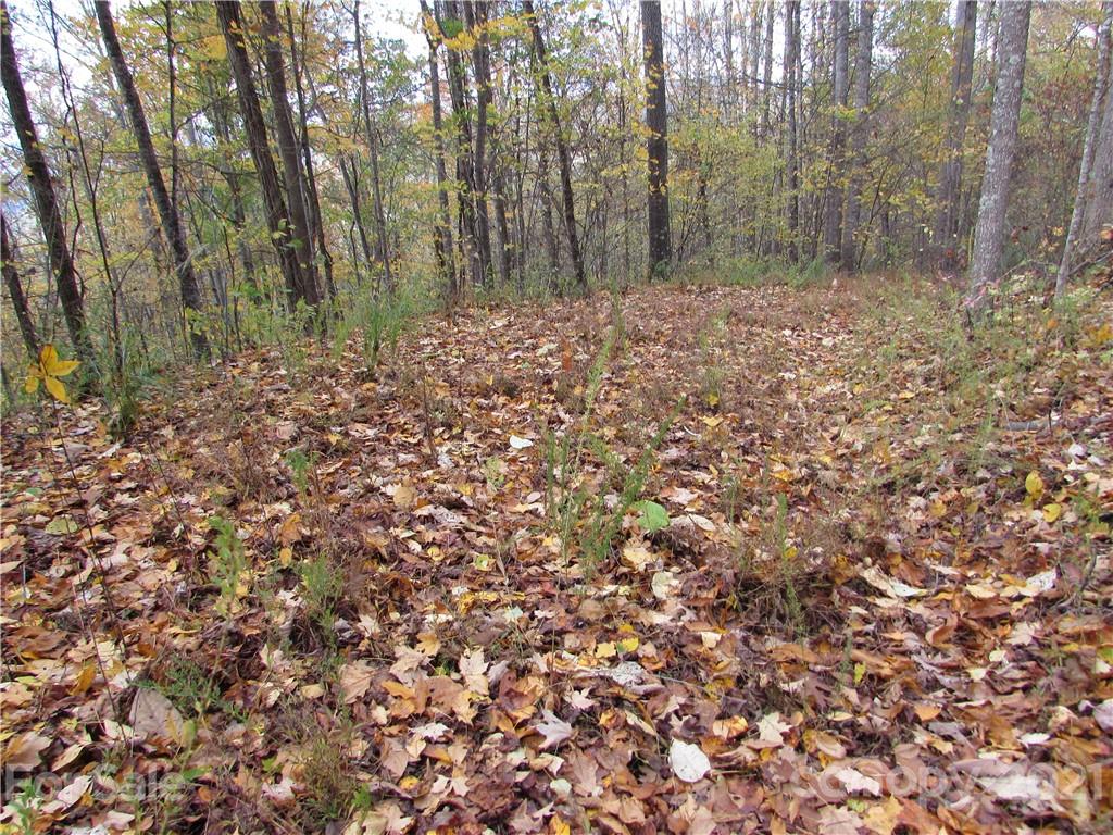 E 20 Red Wolf Run None