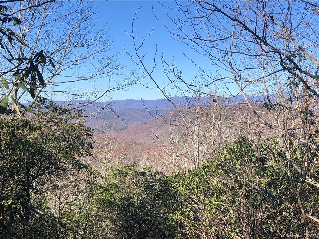 Tract 71 Whitetail Trail