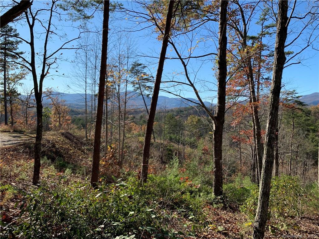 0 Deer Jump Trail 348