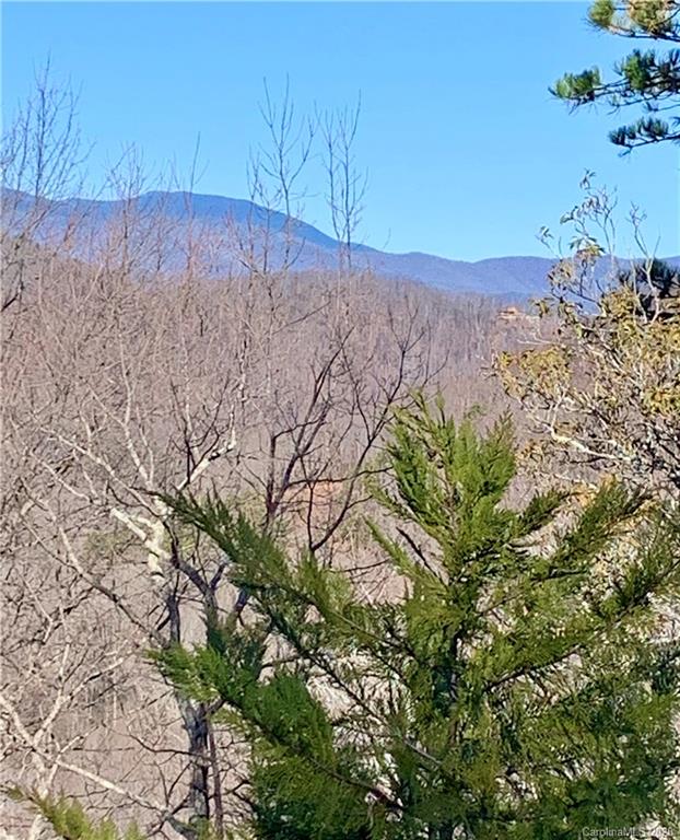 Lot 138 Arcadia Falls Way