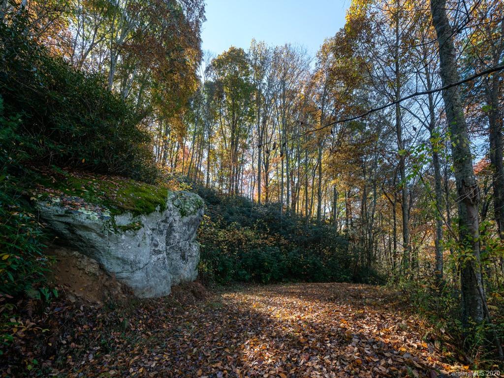9 Flora Rose Trail Tract 1