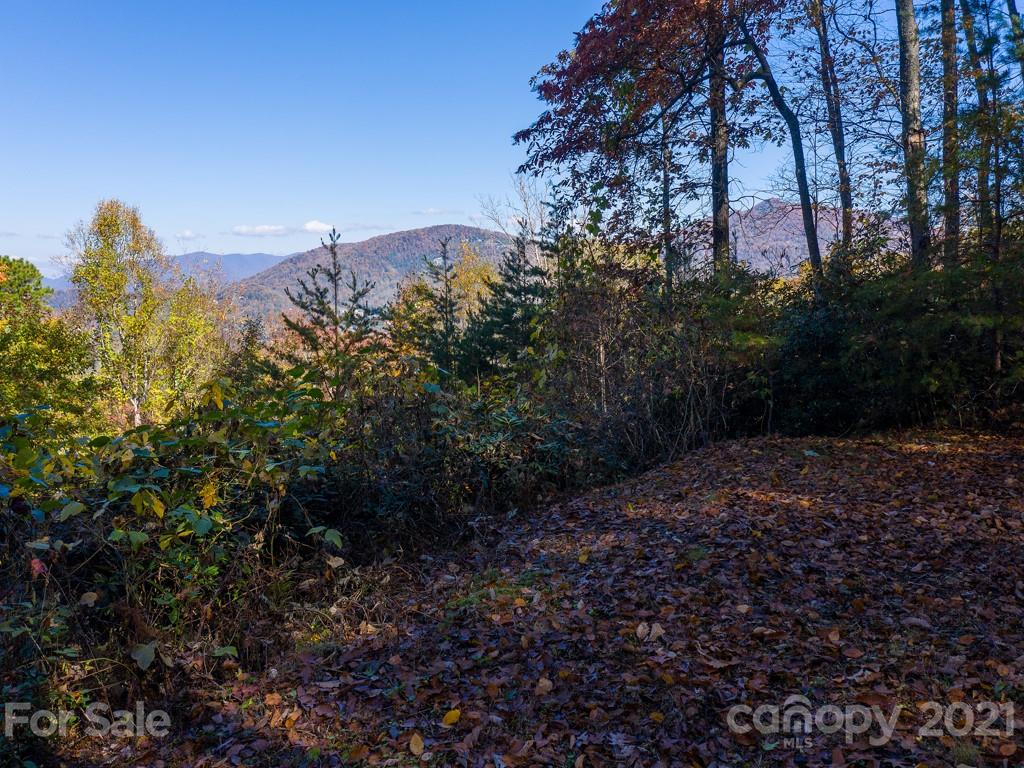 19 Flora Rose Trail