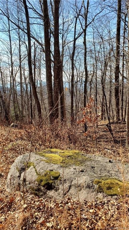 0 Doubleview Drive Lot 11