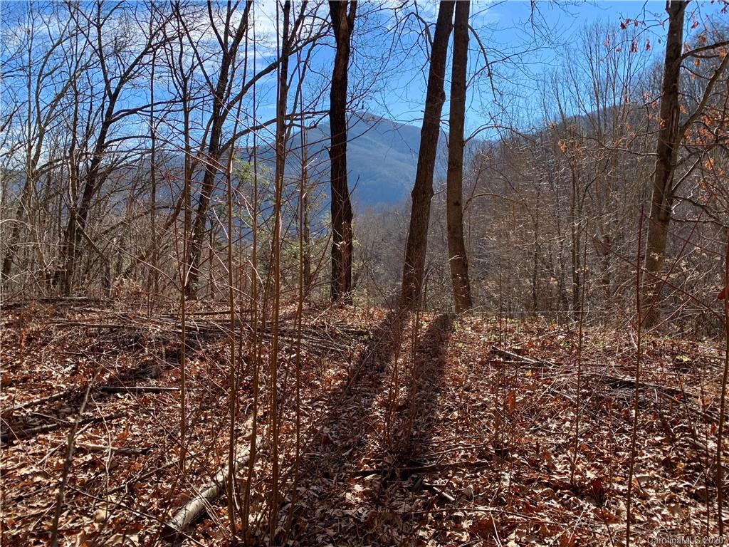 Lot 8b Creekside Drive 8B