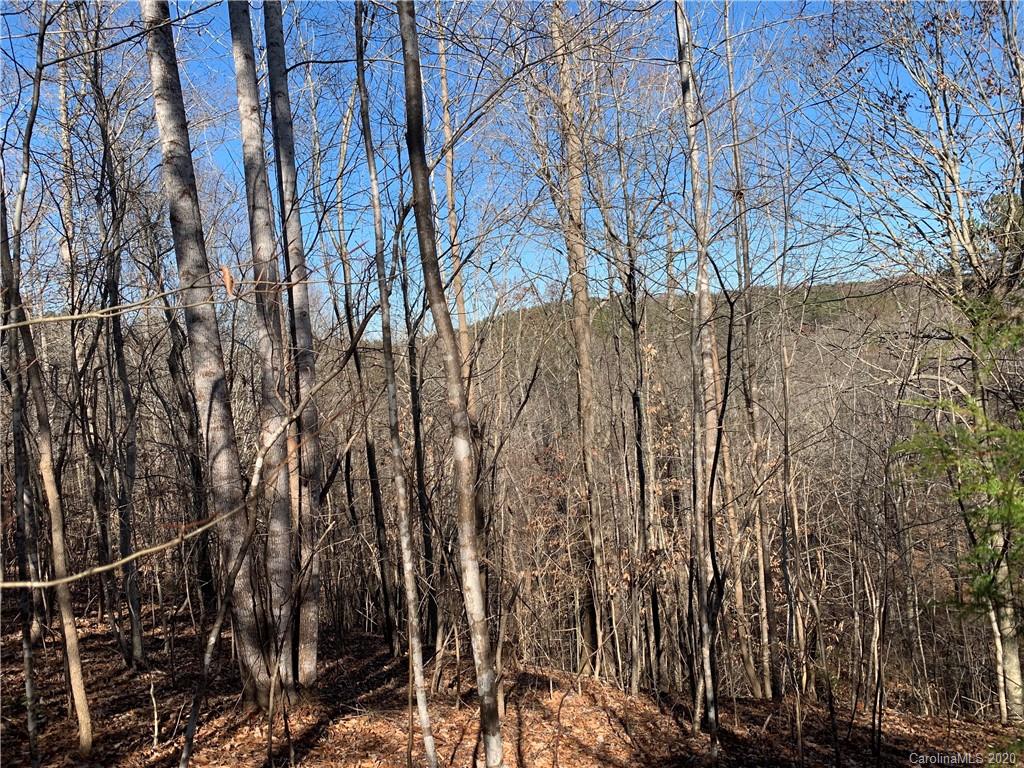 999 Cross Ridge Road 132