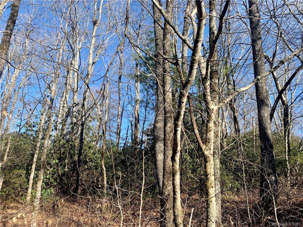 12 Toxaway Trail