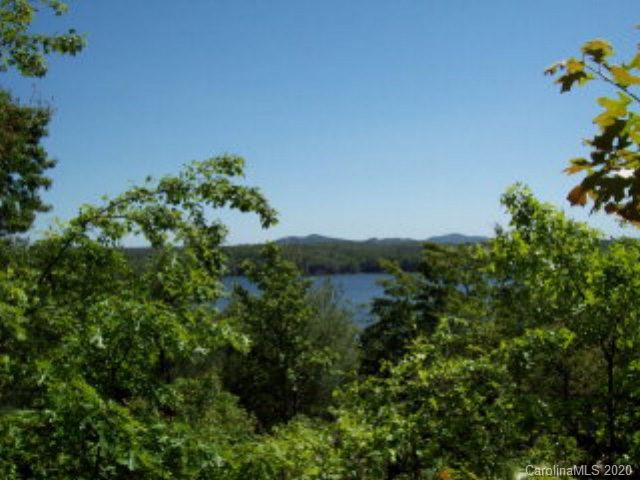 1552 Bear Cliff Drive 20