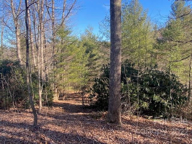 0000 Silverglen Way 35