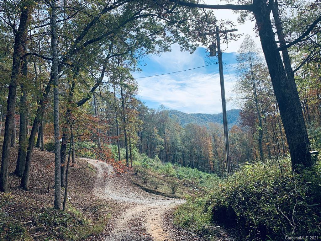 Lot 3 Laurel Springs Drive