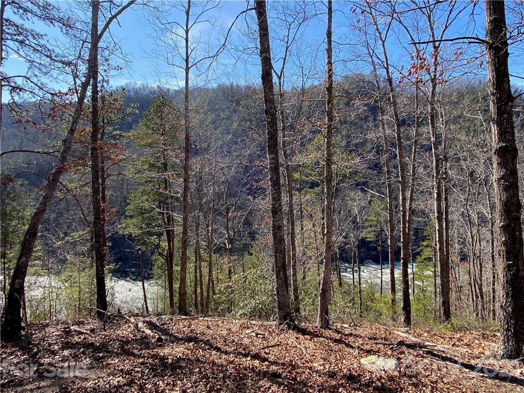 4155 French Broad Parkway 61