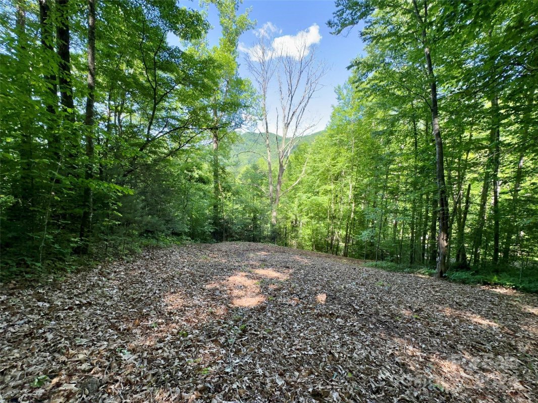 14 Trout Lily Lane
