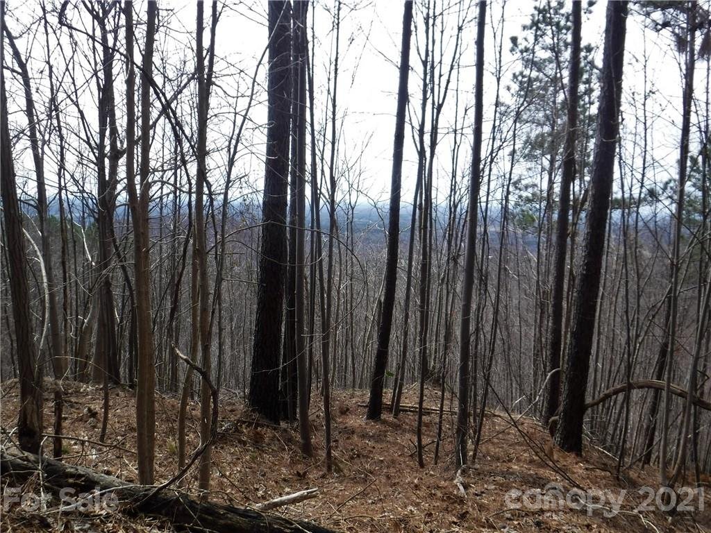 Lot 92 Big Rock Road