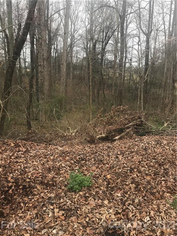 19 Bufflehead Drive Lot 19