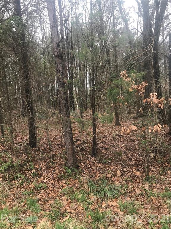 Lot 134 Spring Run Drive