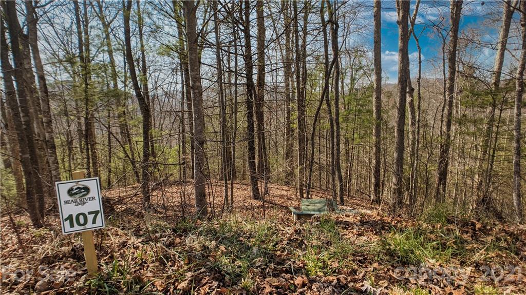 Lot 107 Laurel Ridge