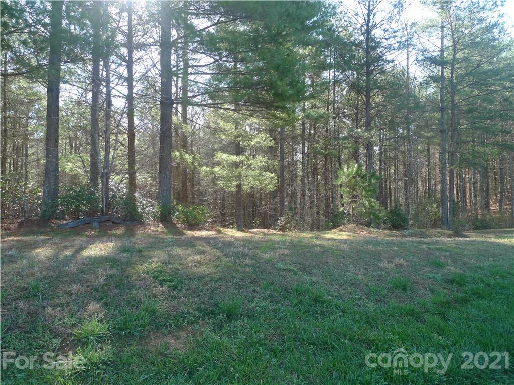 129 Big Tree Way 3
