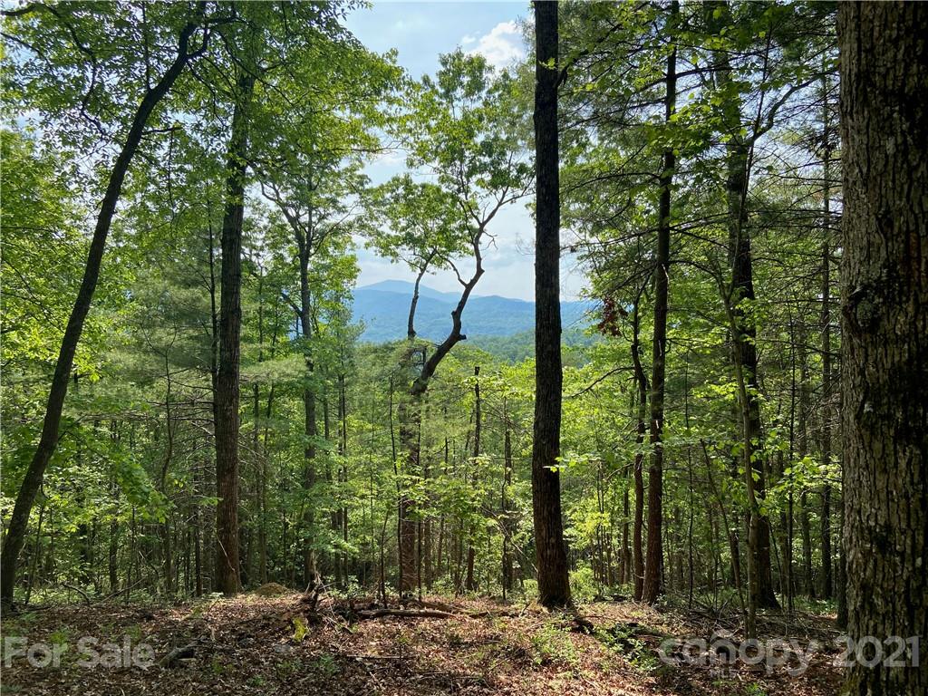226 Winterberry Drive 18