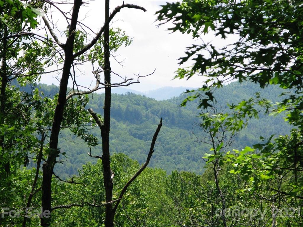 330 Raccoon Run 26