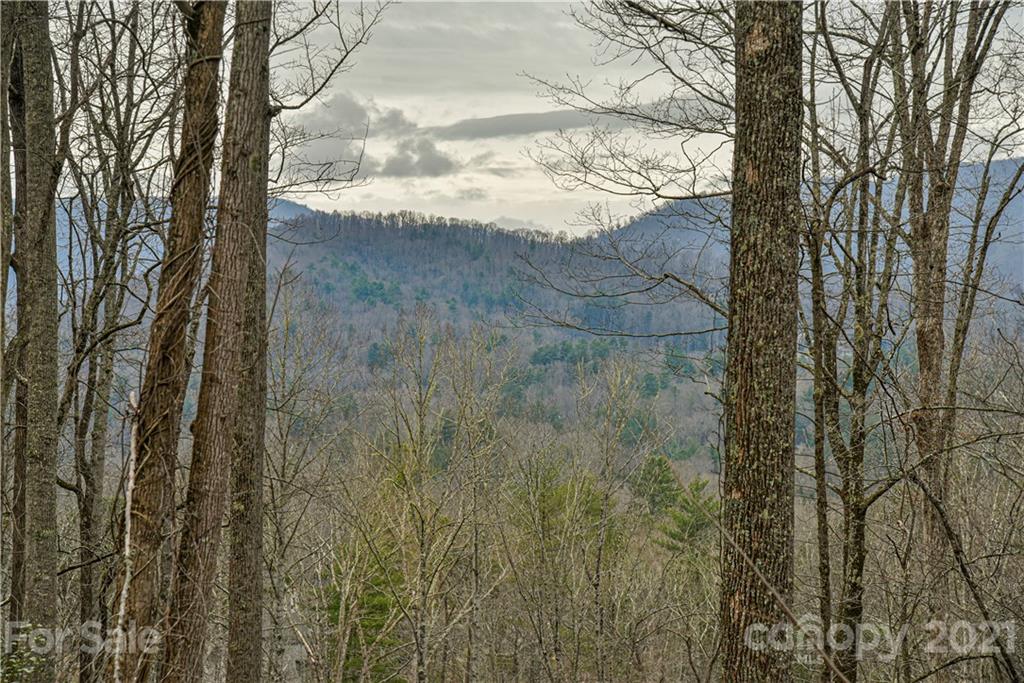 148 Wandering Oaks Way 83